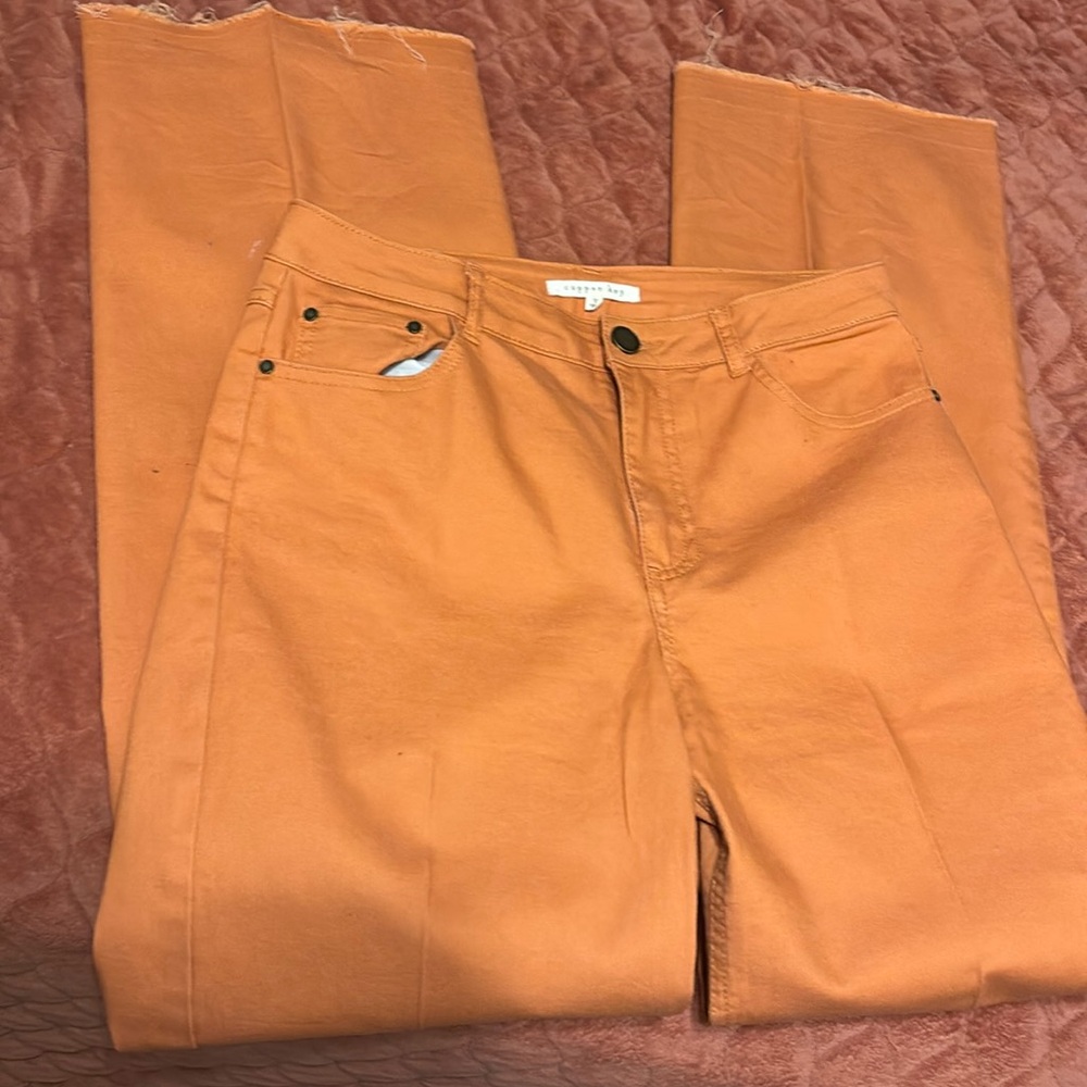 Copper Key| Orange pants